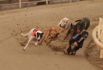 Hotel The Hub, Peterborough