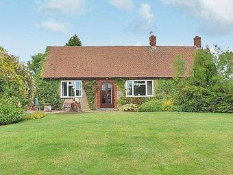 The Bungalow