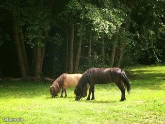 Bed & Breakfast Domaine Du Moulin Neuf
