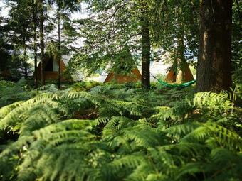 Bed & Breakfast Glamping Ob Robu Gozda