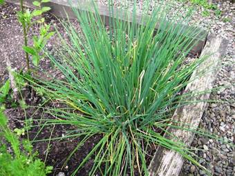 Hostal The Clive Restaurant With Rooms