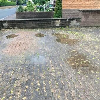 Apartamento Ferien-whg Bellevue N�he Steinhuder Meer