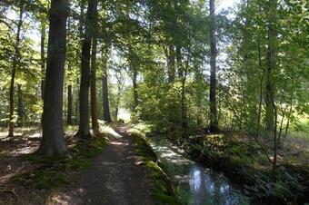 B&B De Bosrand Ommen