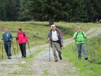 Cafe Vielharmonie Apart-pension