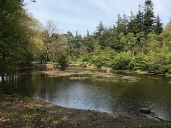 Vakantiewoning Tjiftjaf In "het Fonteinbos"