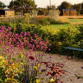 The Oaks Glamping - Magpie Half Shepherds Hut