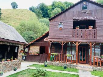 Hostal Pensiunea Amalia