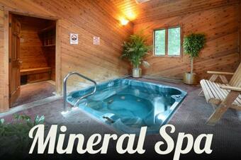 Turf And Spa Motel