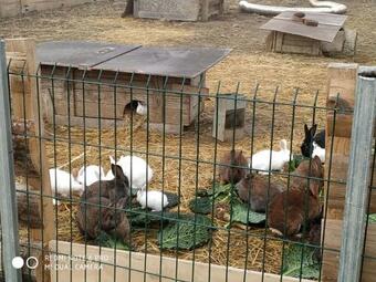 G�te � La Ferme