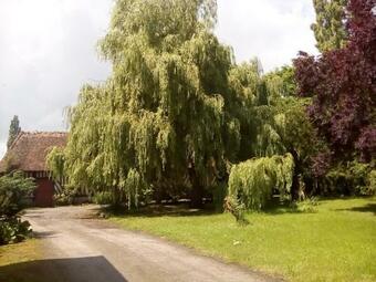 Bed & Breakfast La Ferme Des Vignes