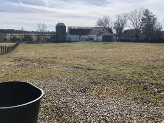 House Mountain Farm