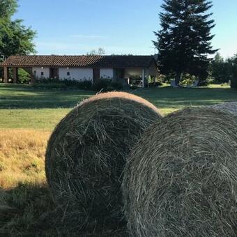 Ver fotos