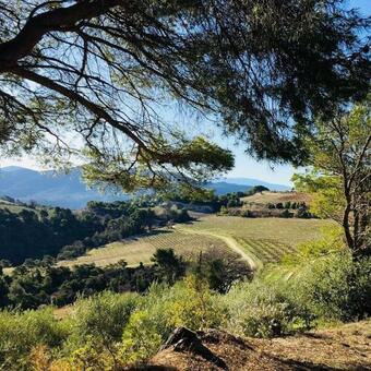 Domaine Les Fosses