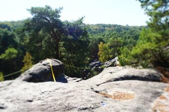 Hostal A L'or�e de La For�t