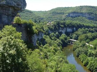 Les Campsis