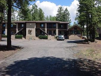 Motel In The Pines