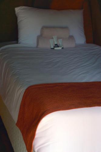 Hostel Aneley