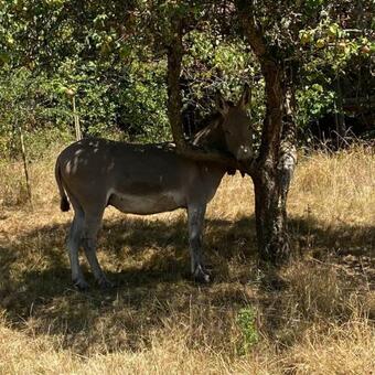 Ver fotos