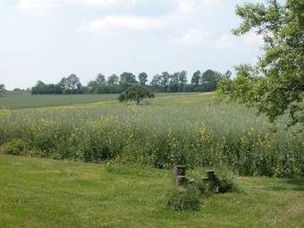 Hostal Hasselberger Hof