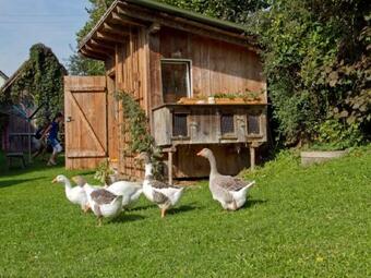 Apartamentos G�stehaus Schneider