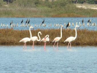 Apartamento Casa Malaquias