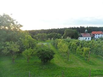 Hostal Pension Am Kirschgarten
