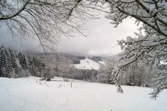 Apartamento Stoahauerhof