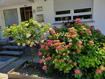 G�stehaus Eissler