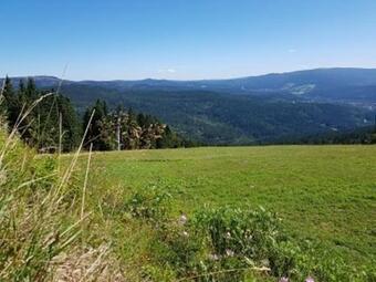 Apartamento Ferienwohnung Augustin