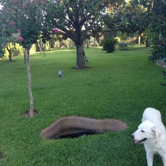 B&B Villa Fiorita