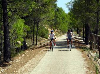 Camping Els Ports