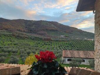 Bed & Breakfast Casale Dei Priori