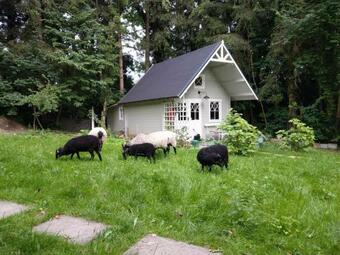 Hostal Schloss M�rlbach