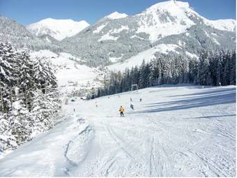 Alpenhotel Russbacher Hof