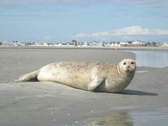 Ver fotos