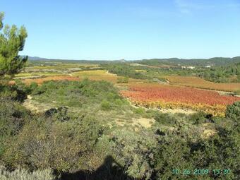 Domaine Les Salices