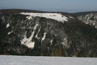 Apartamento Maison D'alsace
