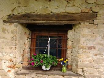Il Sart�