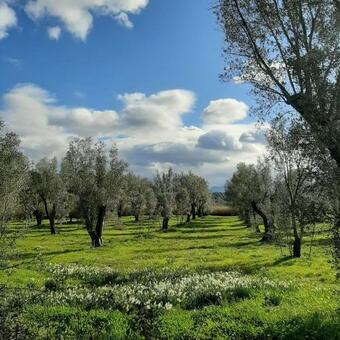 Hostal Le Tre Querce - Camera Con Uso Cucina