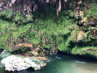 Apartamento New!la Peonia,casa In Montagna, Prato Verde Panorama Stupendo-sardegna