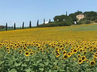 Bed & Breakfast Il Vecchio Seccatoio