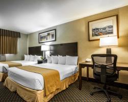 Hotel Quality Inn And Suites