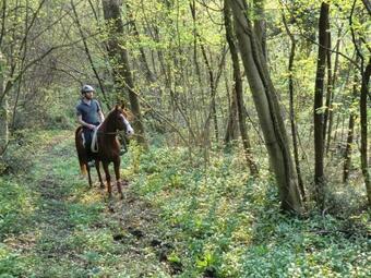Agroturismo Ca Borgh