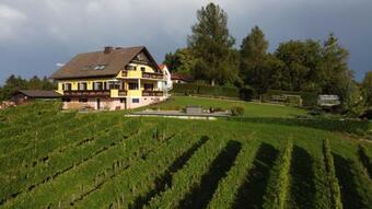 Apartamento Wein- Und Weitblick
