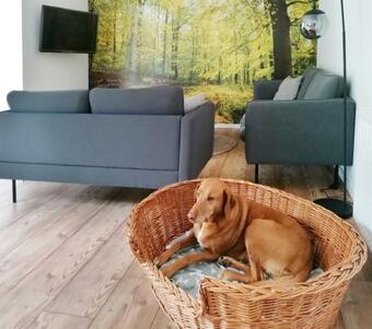Ferienhaus Bb2