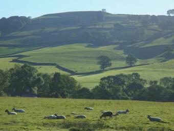The Linhay