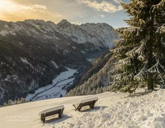 Agroturismo Farm Stay "alpine Dreams"
