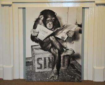 Ver fotos