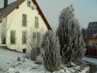 Apartamento Ferienwohnung Belisa