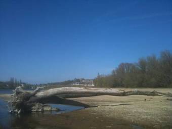 Appart'hotel Wombat And Wallaby